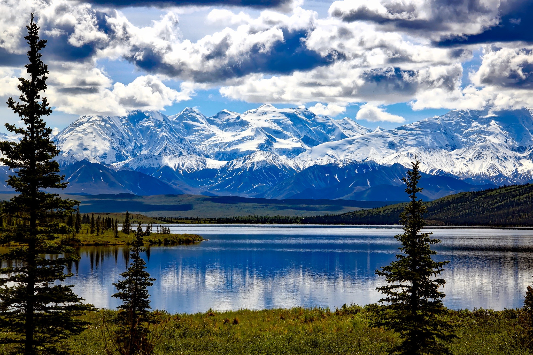 Denali national park in Alaska