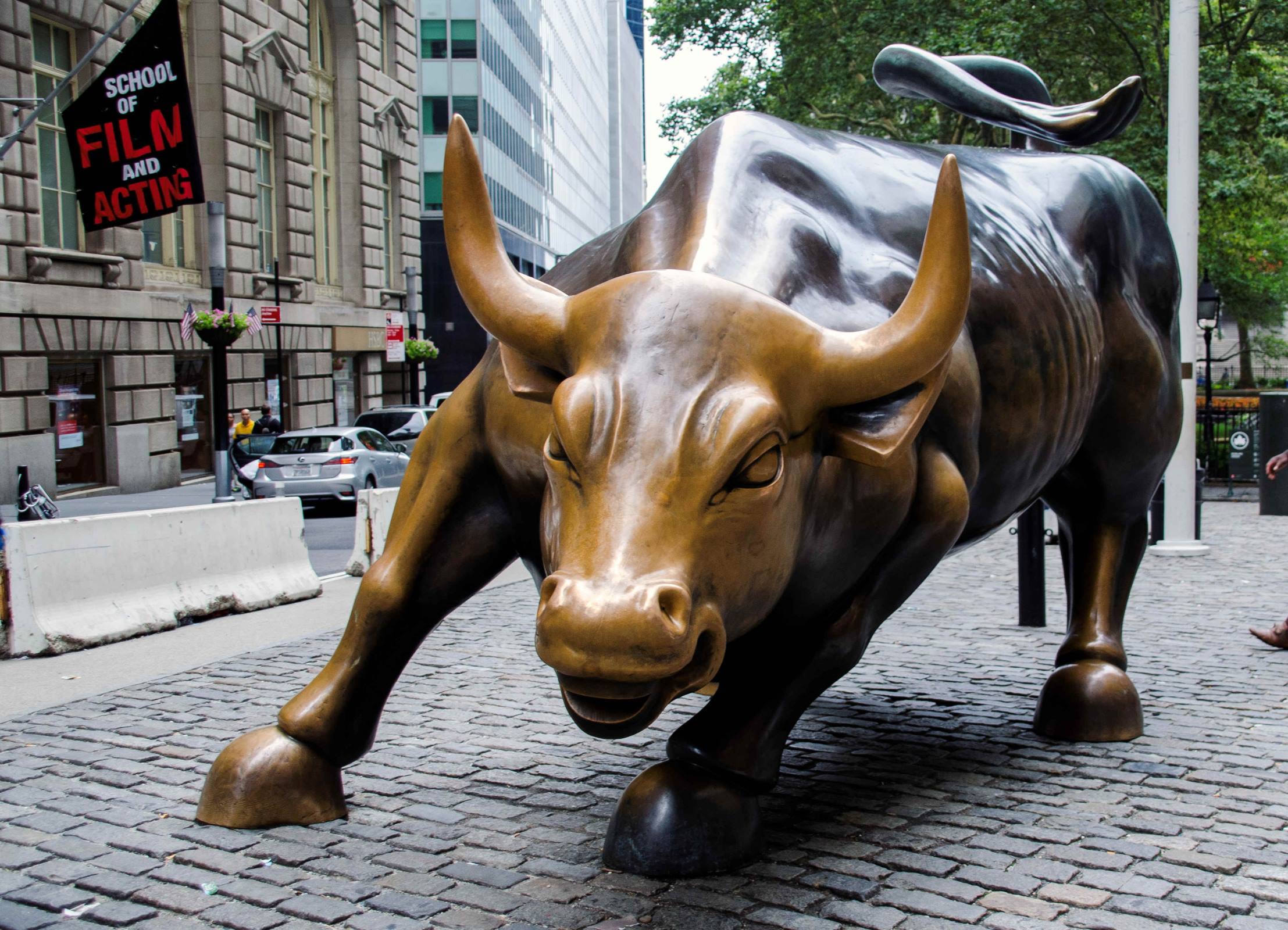 Free New York City Wall Street Bull Image