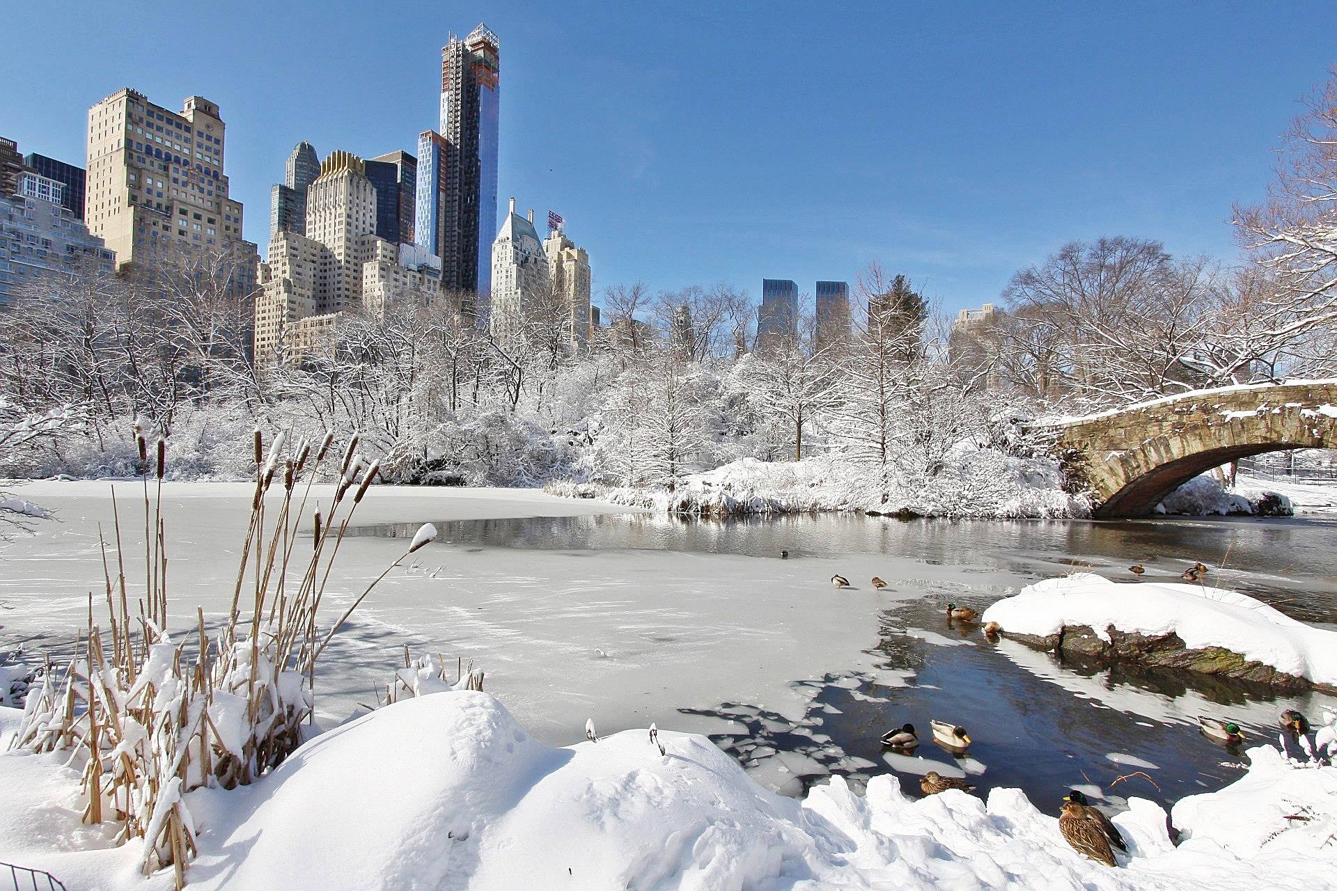new york city winter snow central park