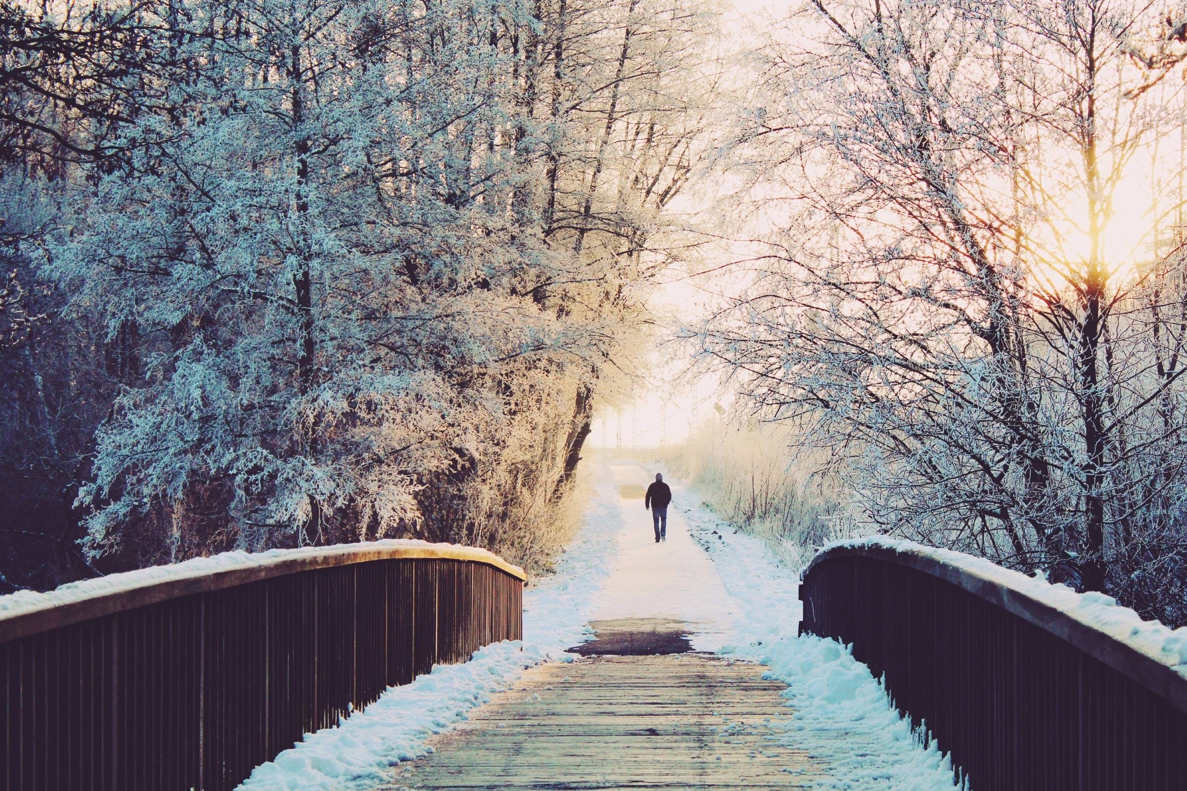 winter bridge snow trees walker