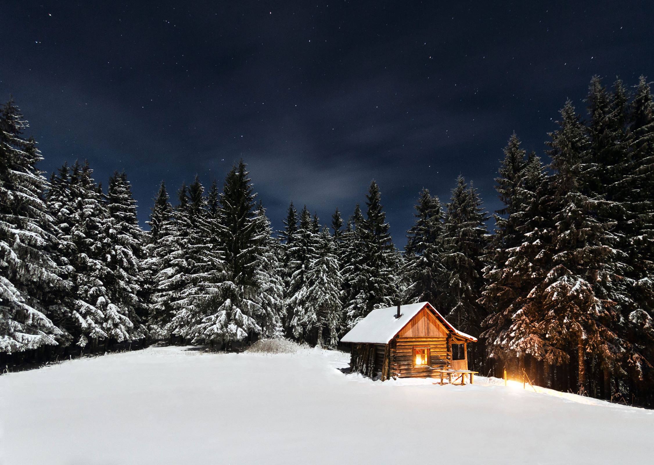 winter night cabin snow fir trees