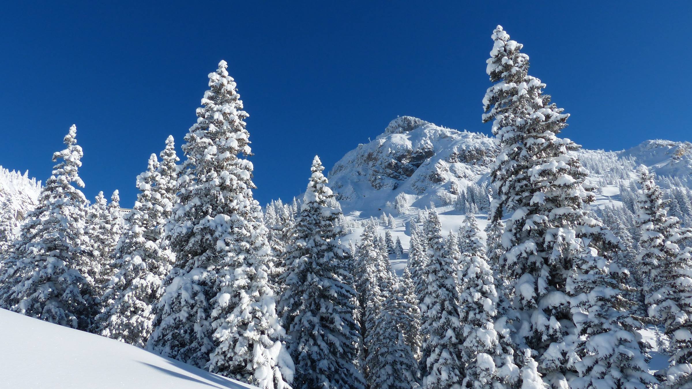 winter snow trees mountain landscape blue sky