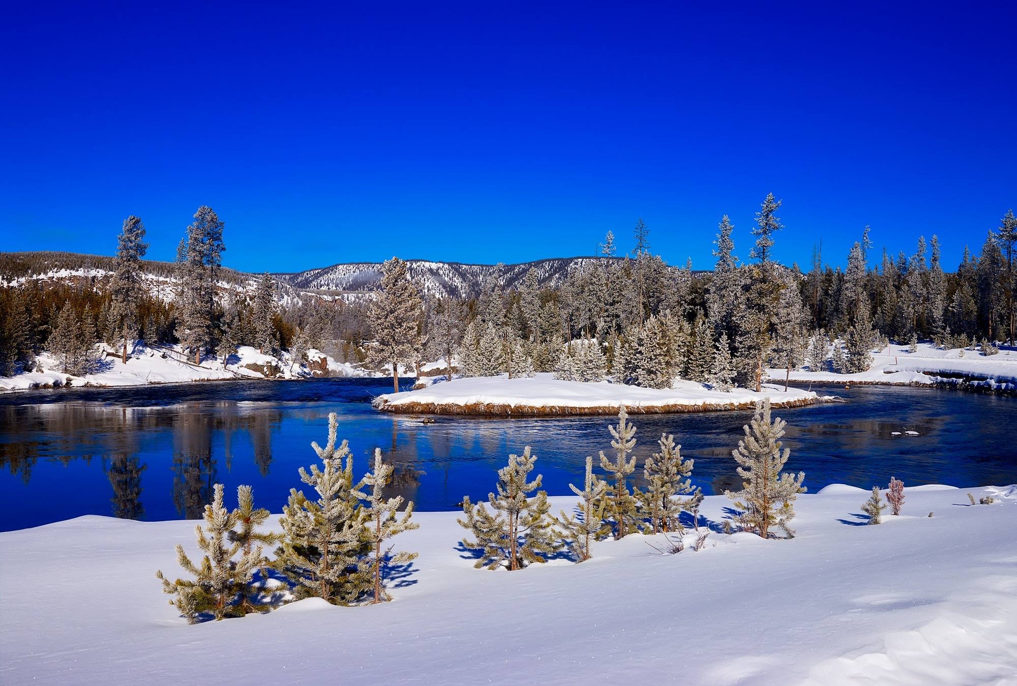 yellowstone national park snow forest mountains river