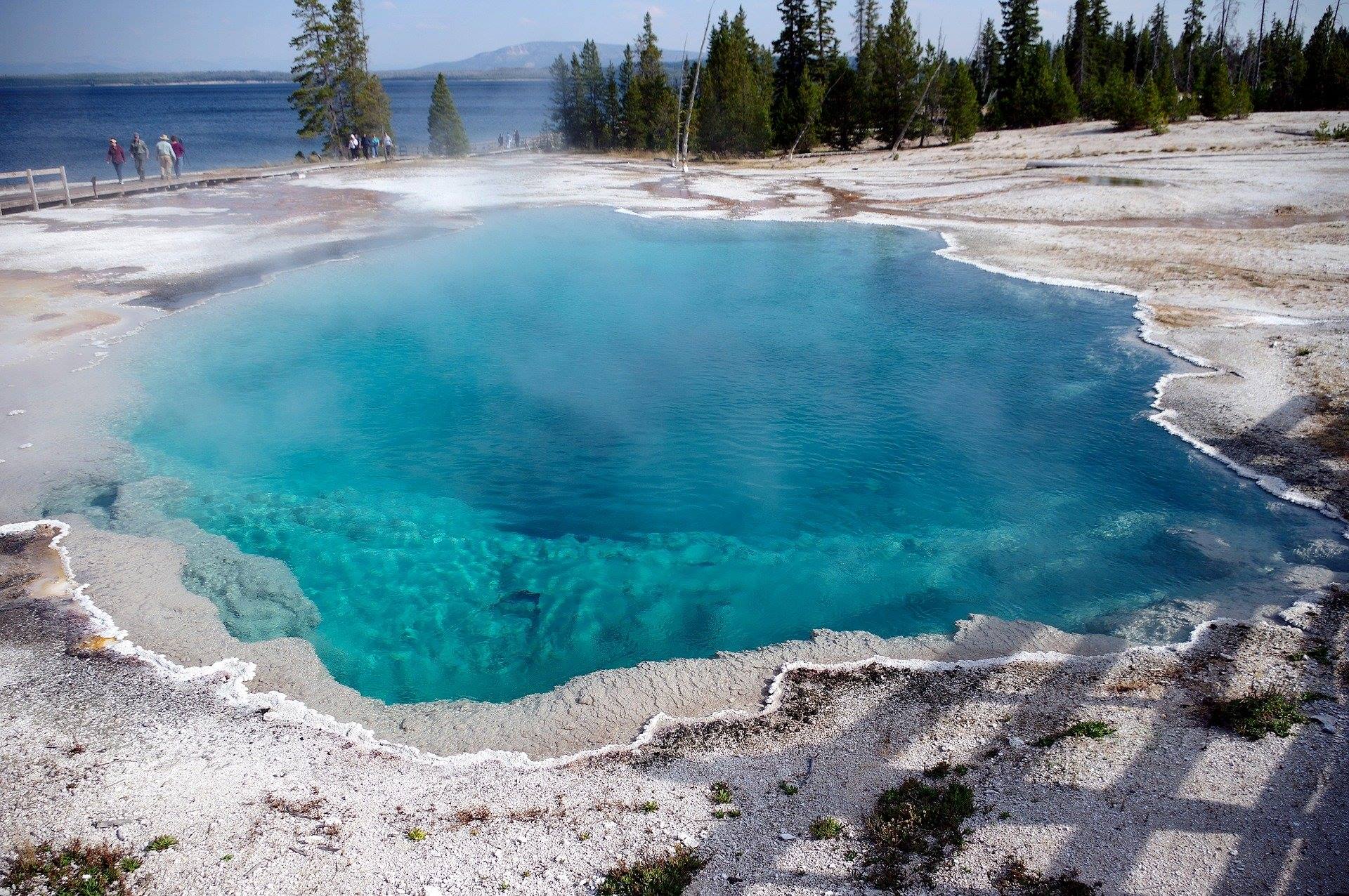 yellowstone national park west thumbs black pool hot spring