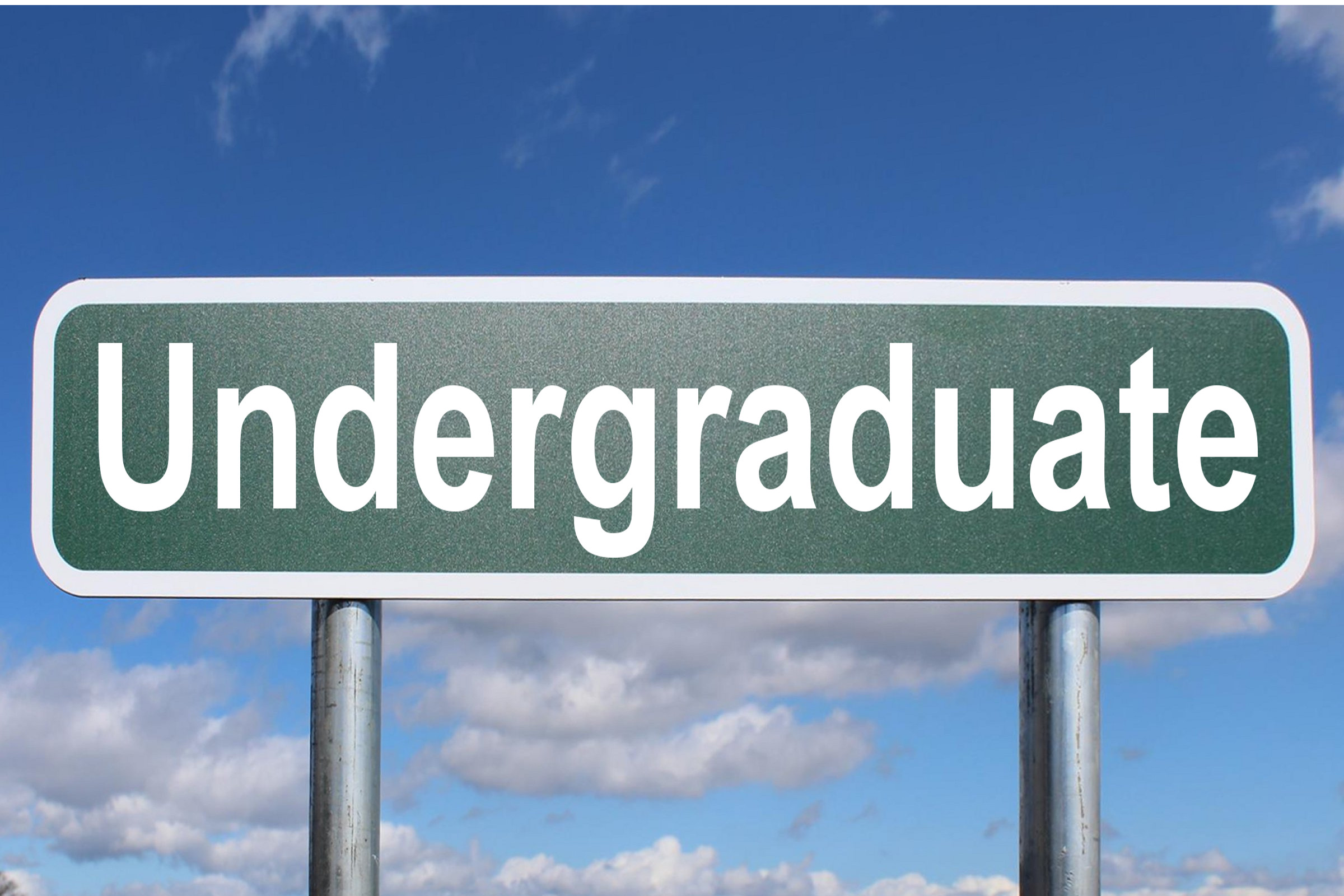 undergraduate