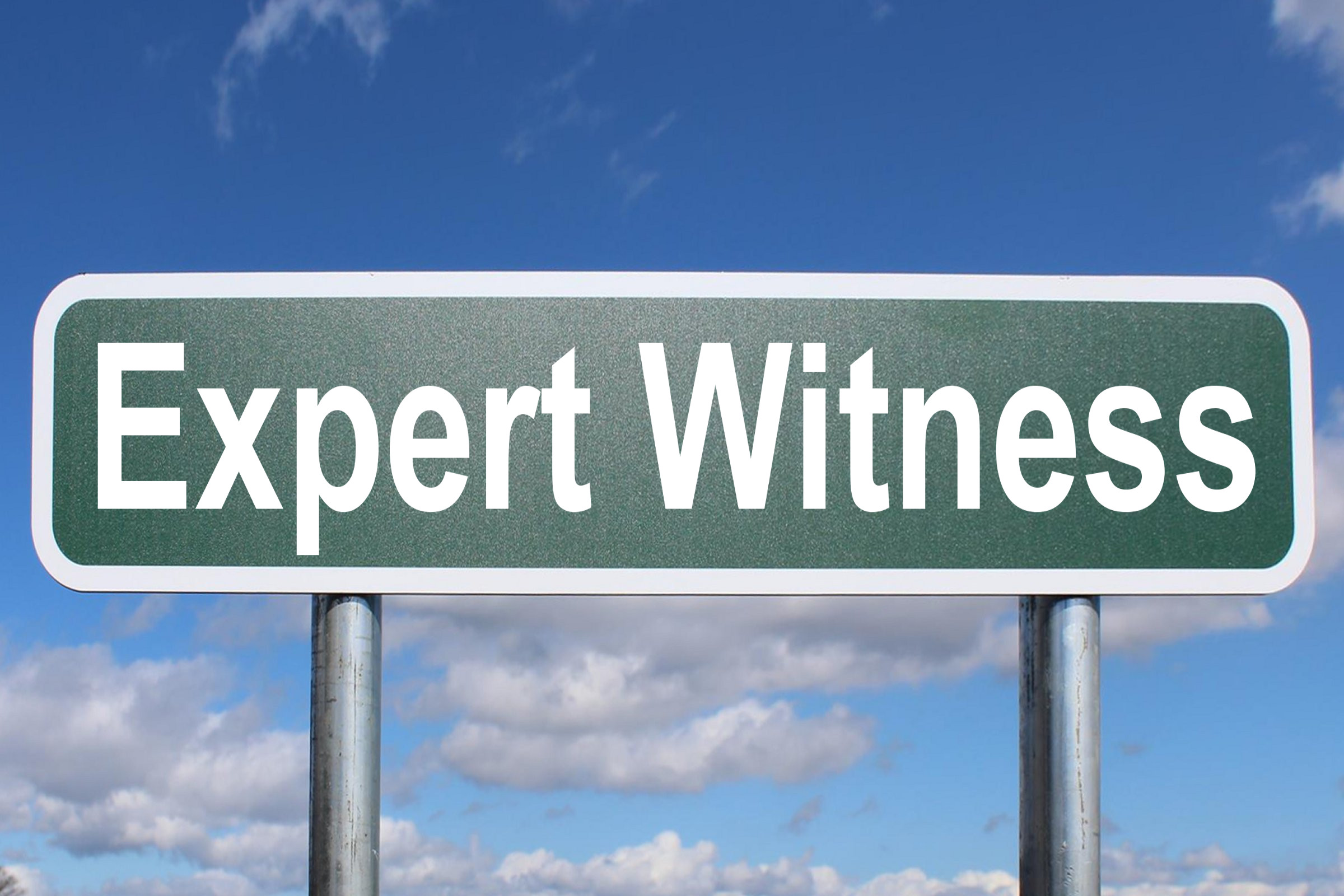 expert witness
