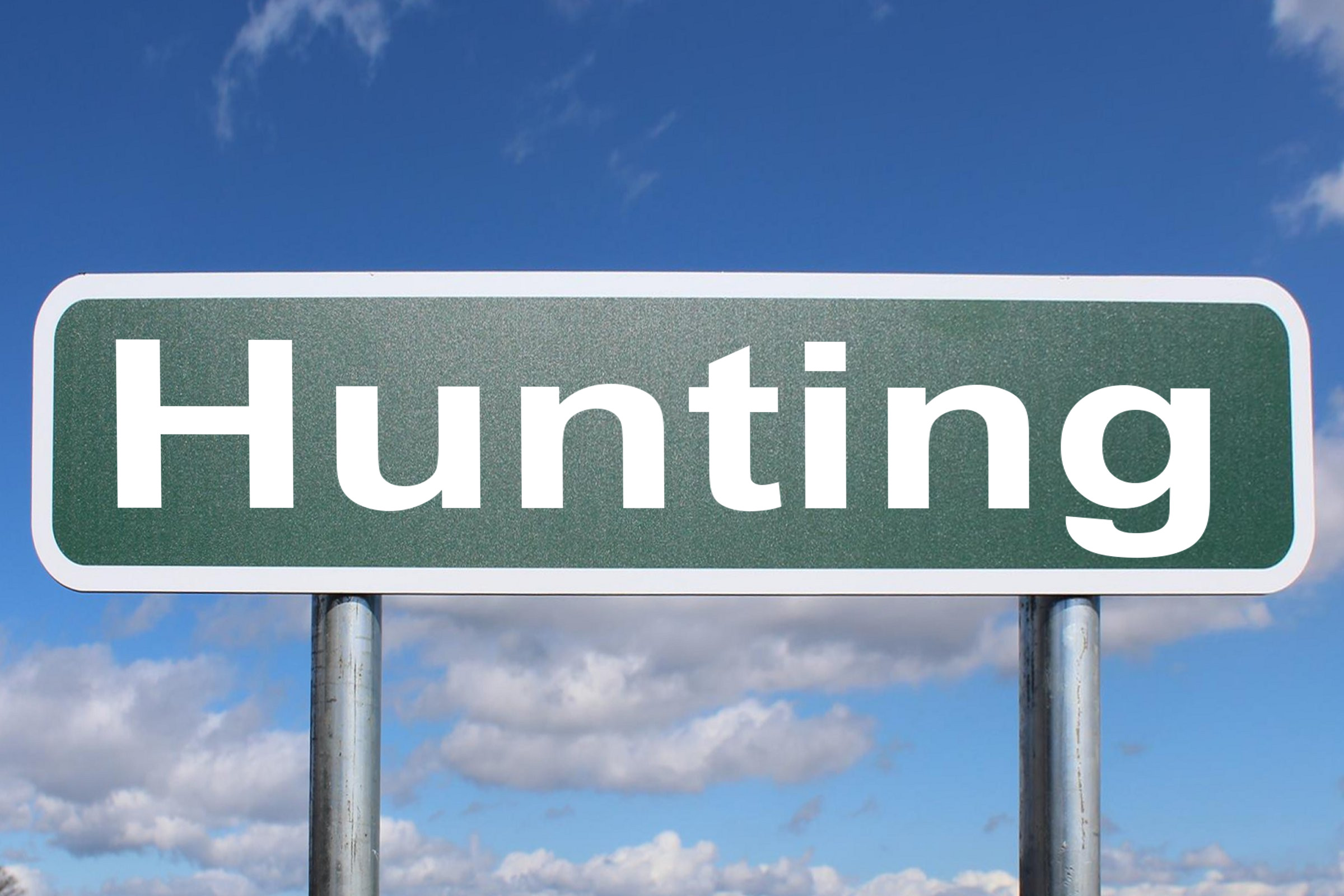 hunting