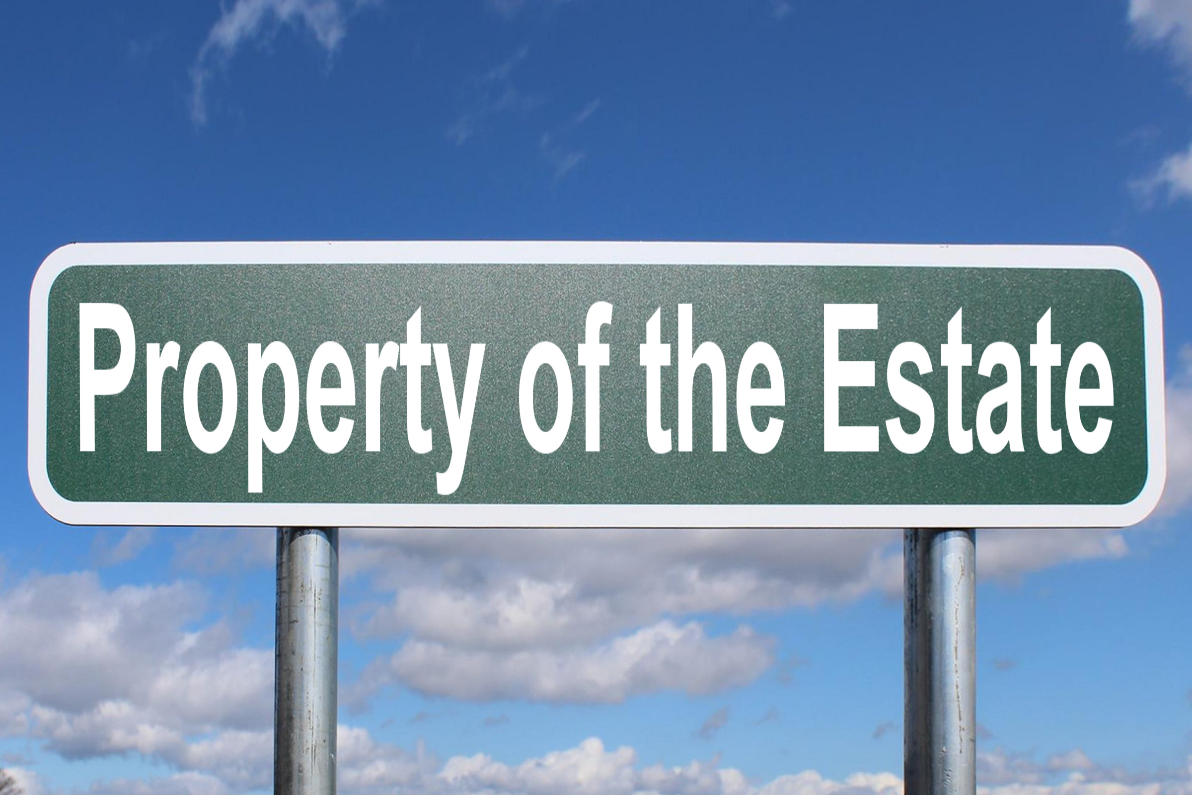 property of the estate