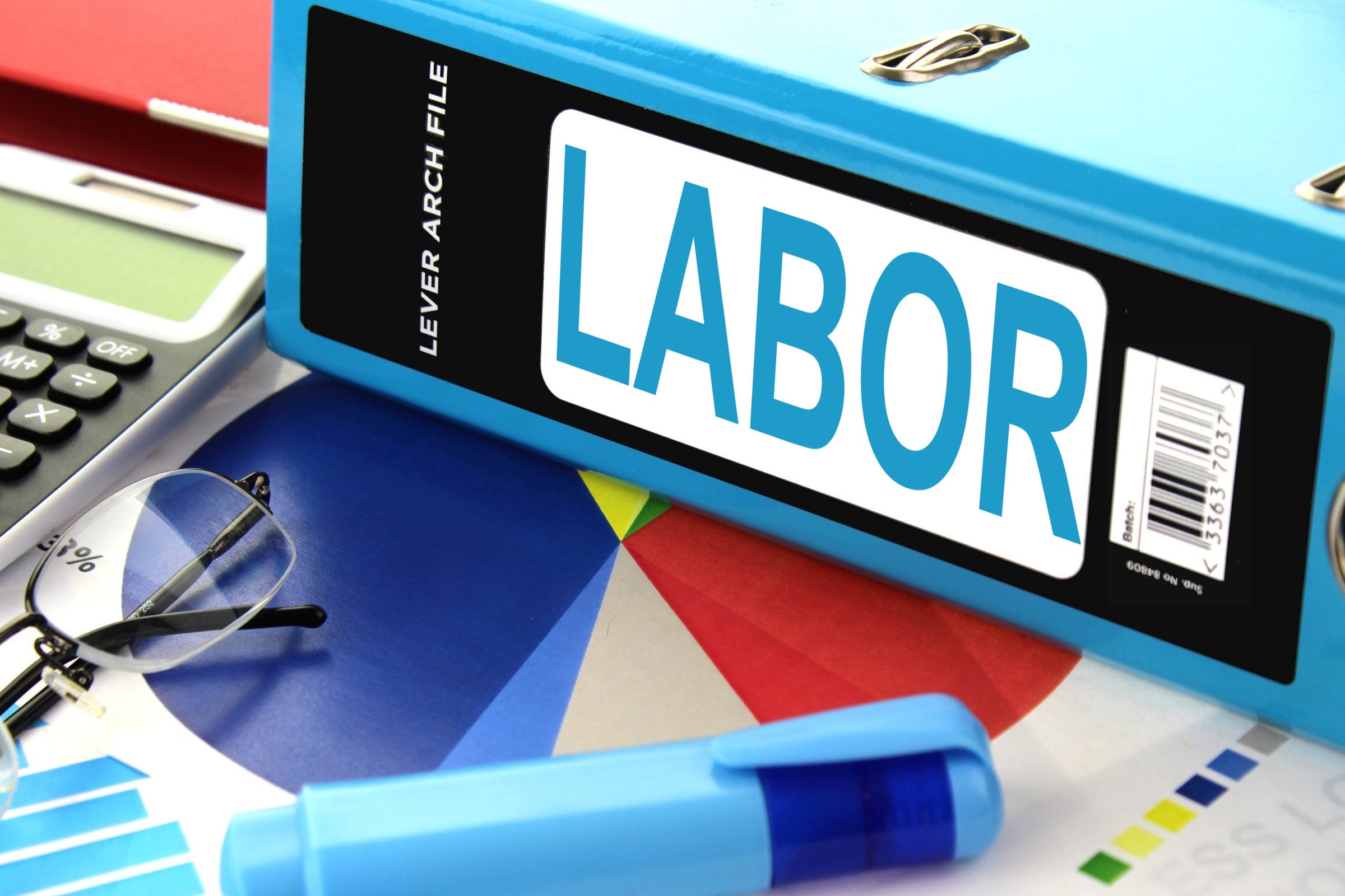 Direct Labor Cost Formular