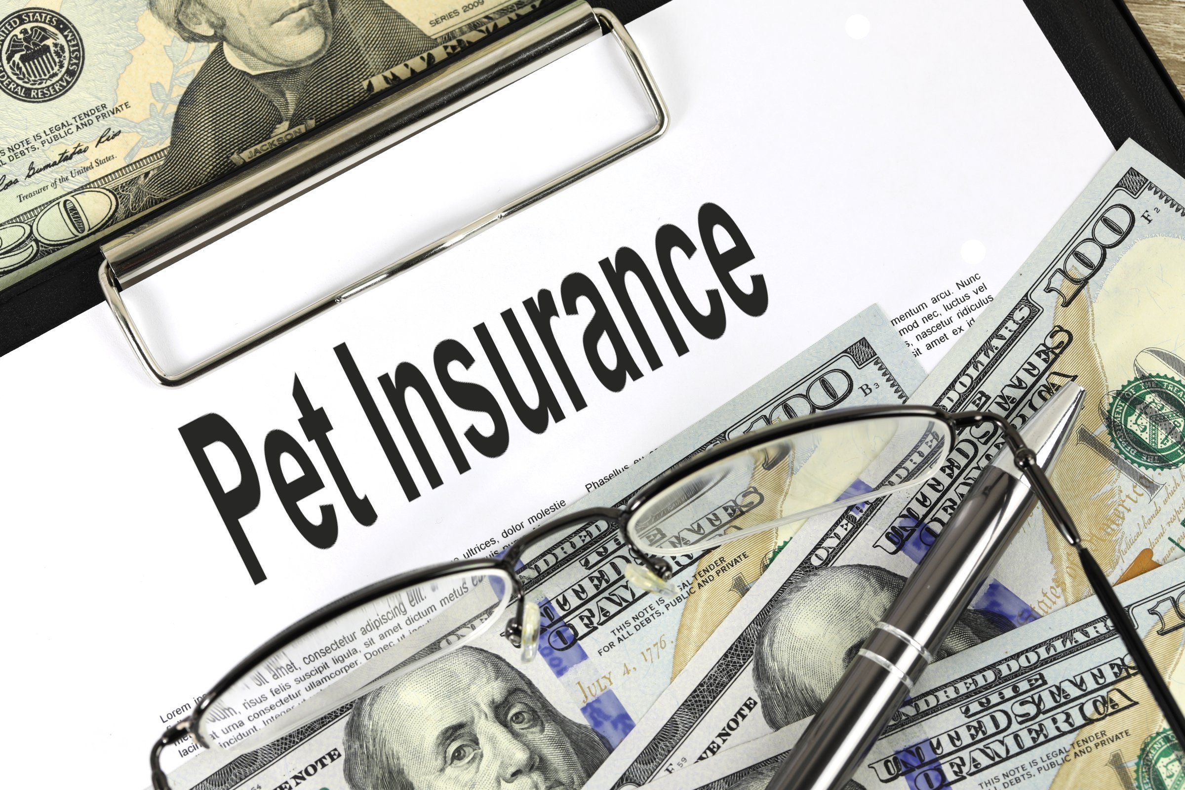 Pet Insurance - Free of Charge Creative Commons Financial 3 image