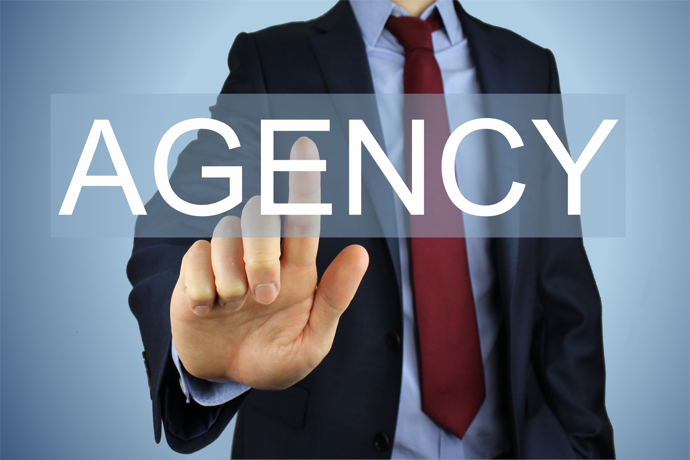 Agency vs Company: Choosing the Right Business Structure