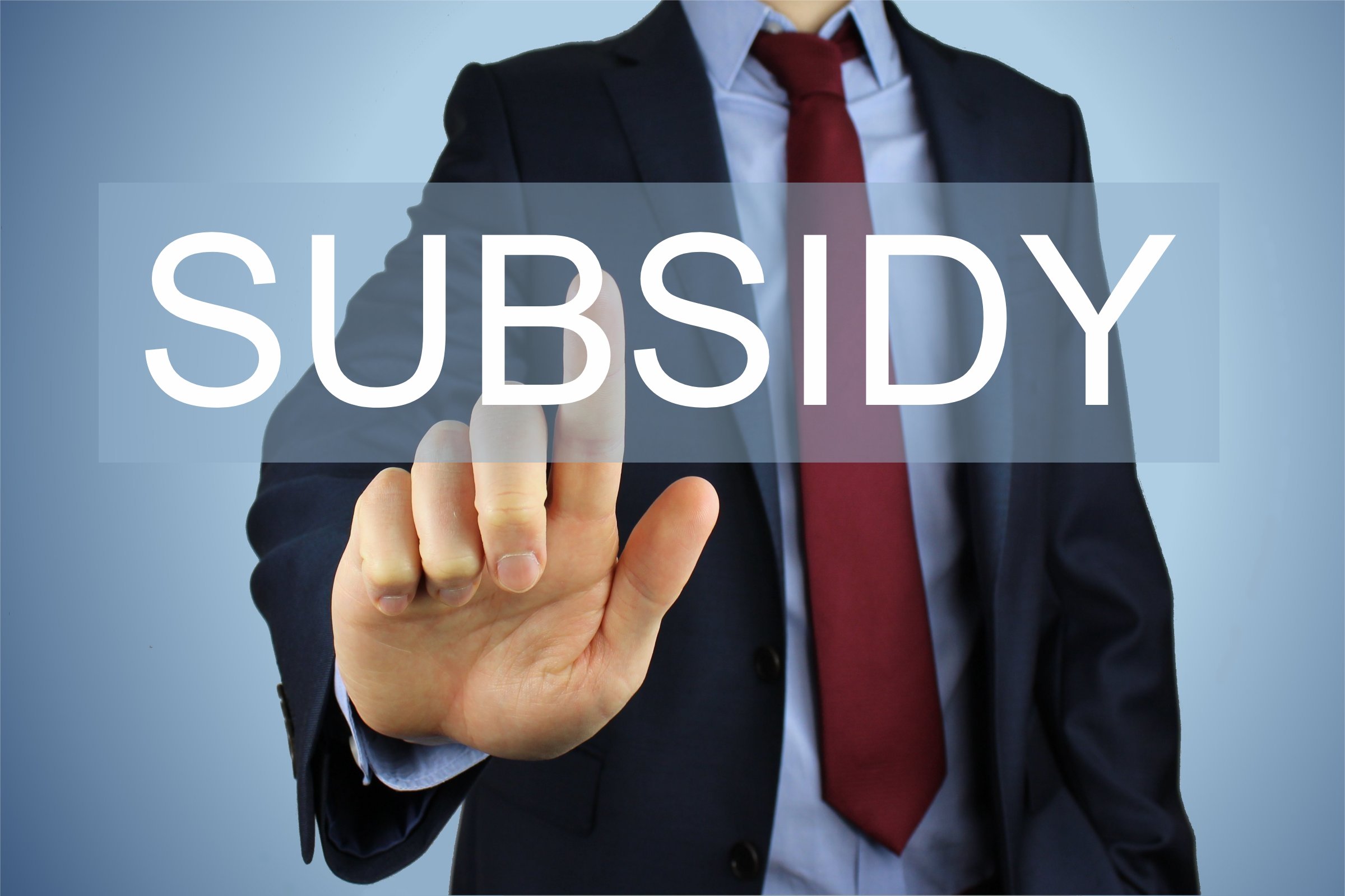 subsidy