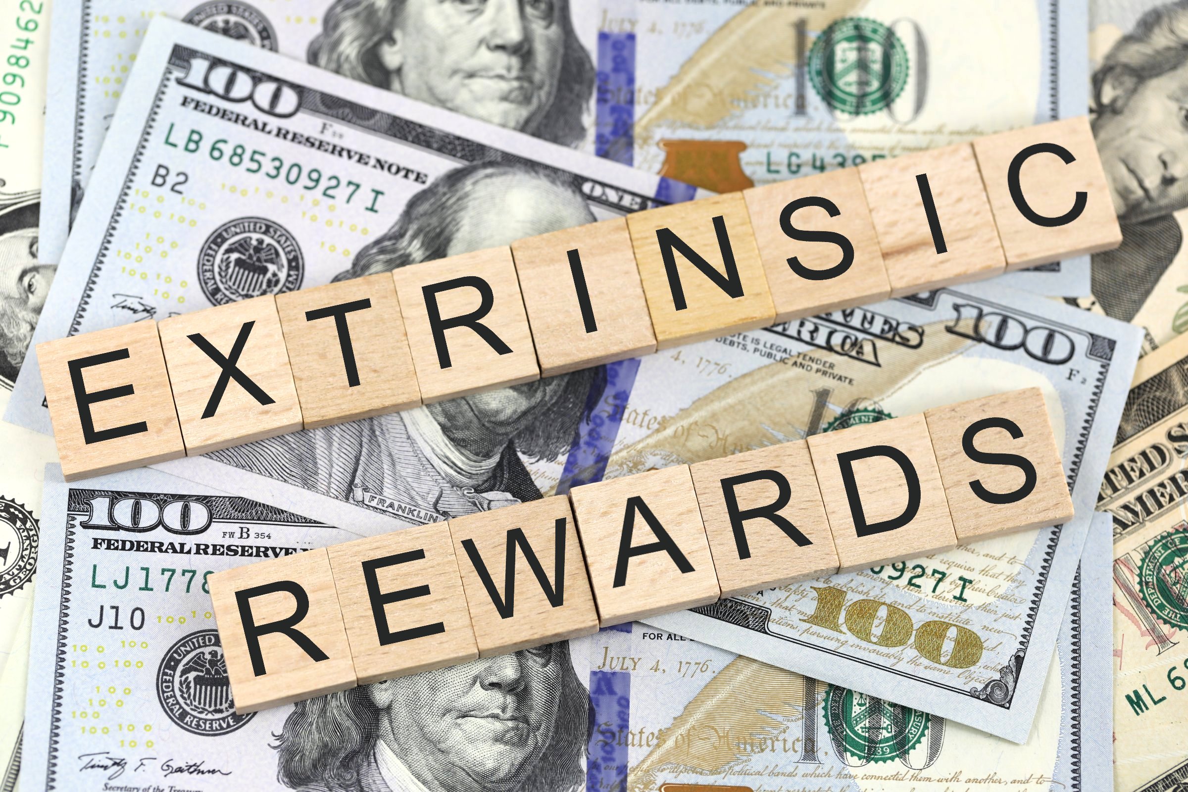 extrinsic rewards