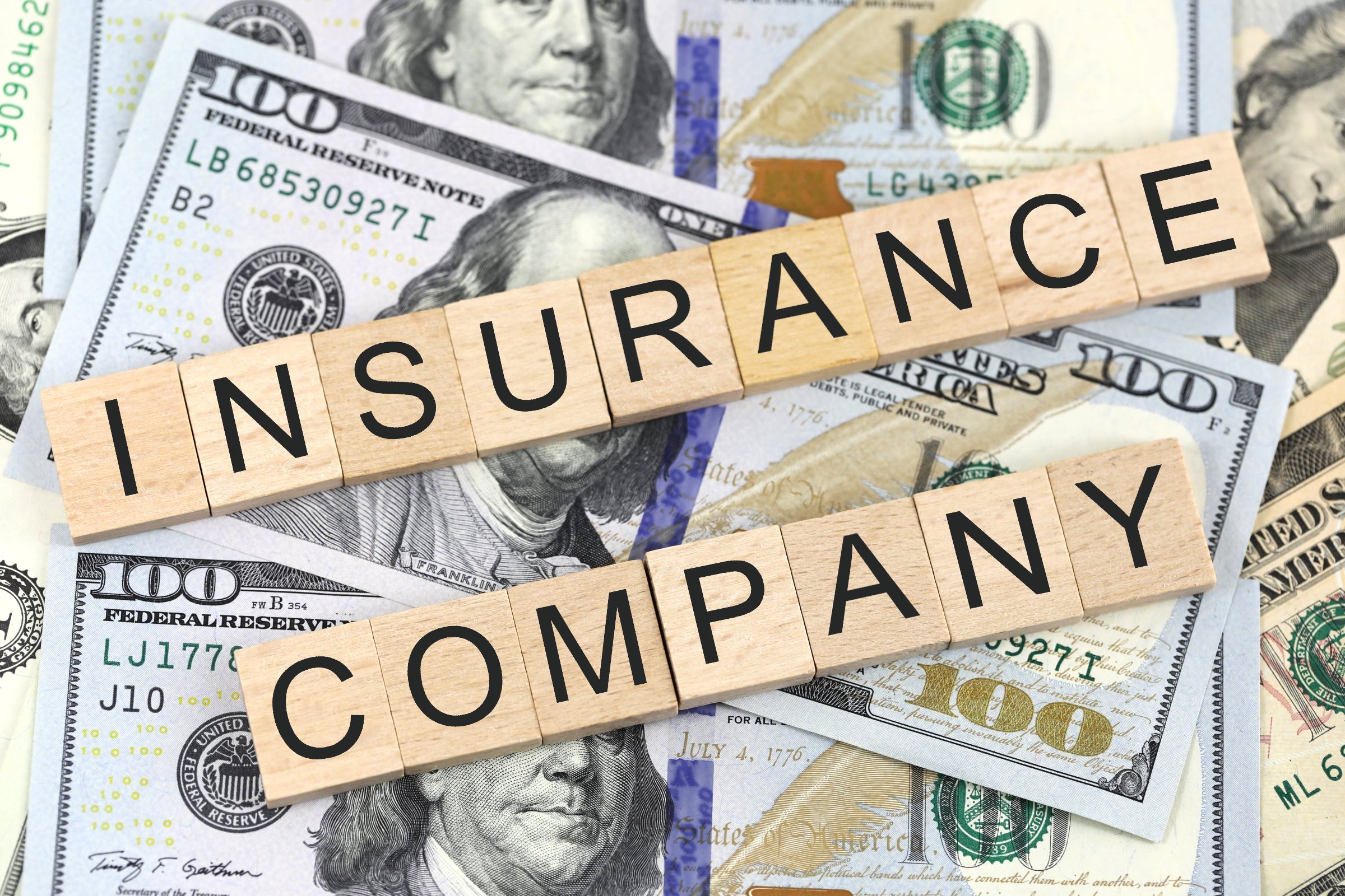 GIC vs. LIC Insurance Companies Budgeting Buddy