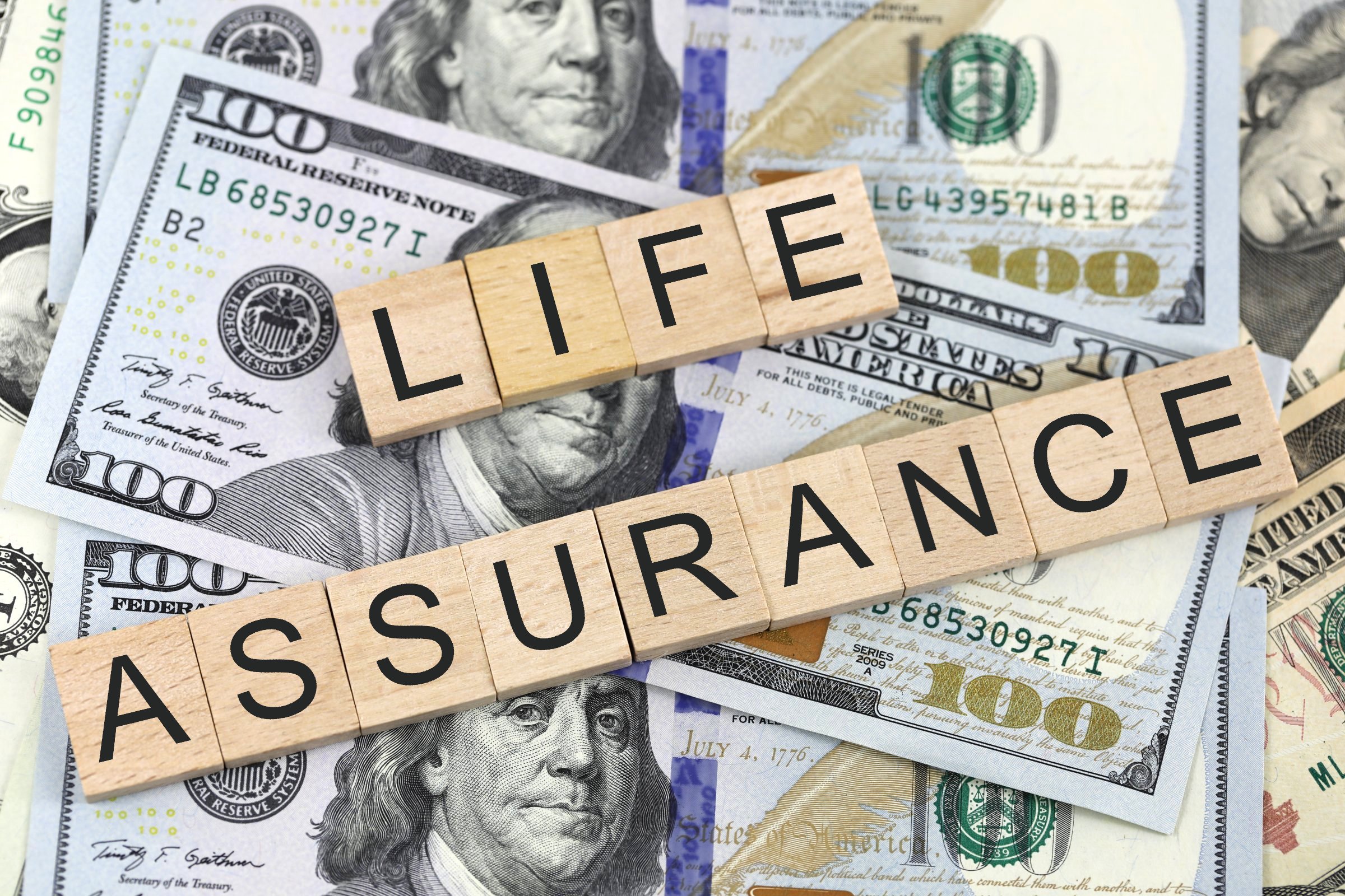 What Does Life Assurance Mean In Business