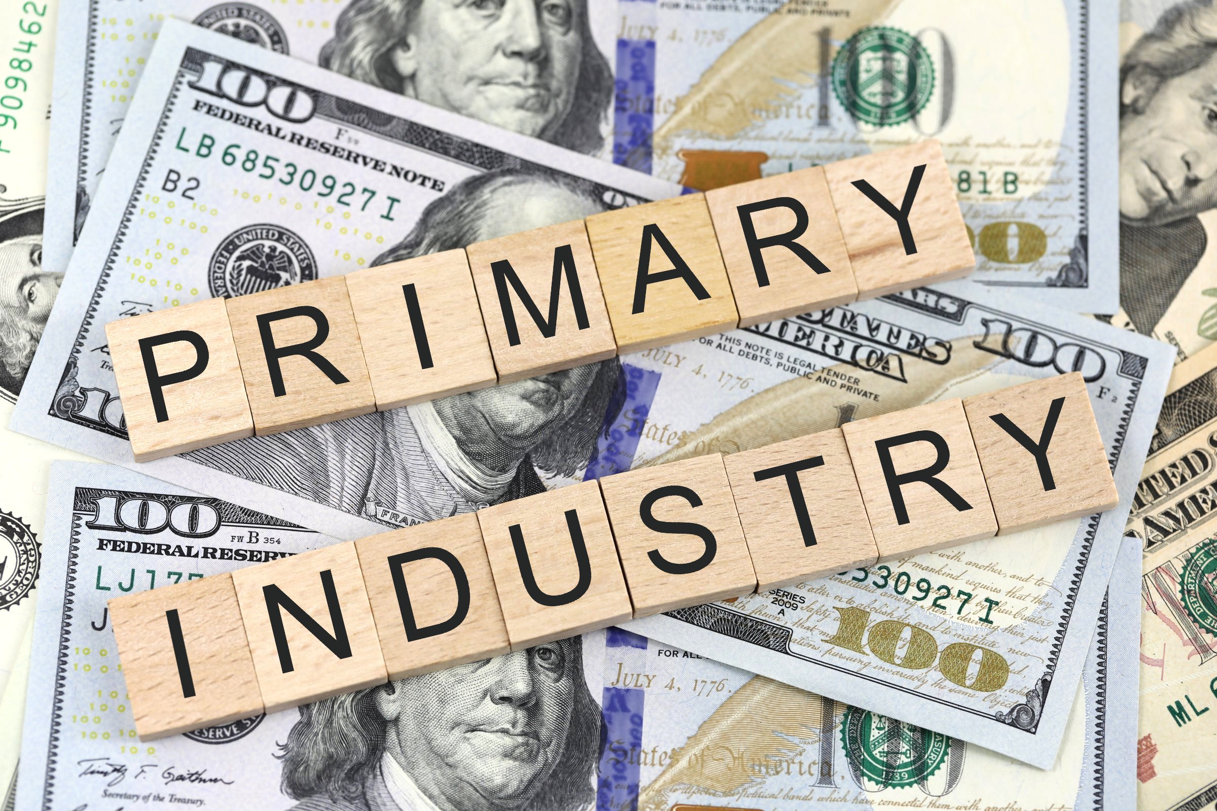 primary industry