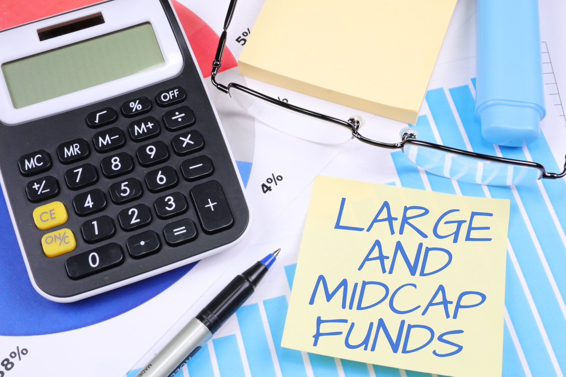 Large and Midcap Funds
