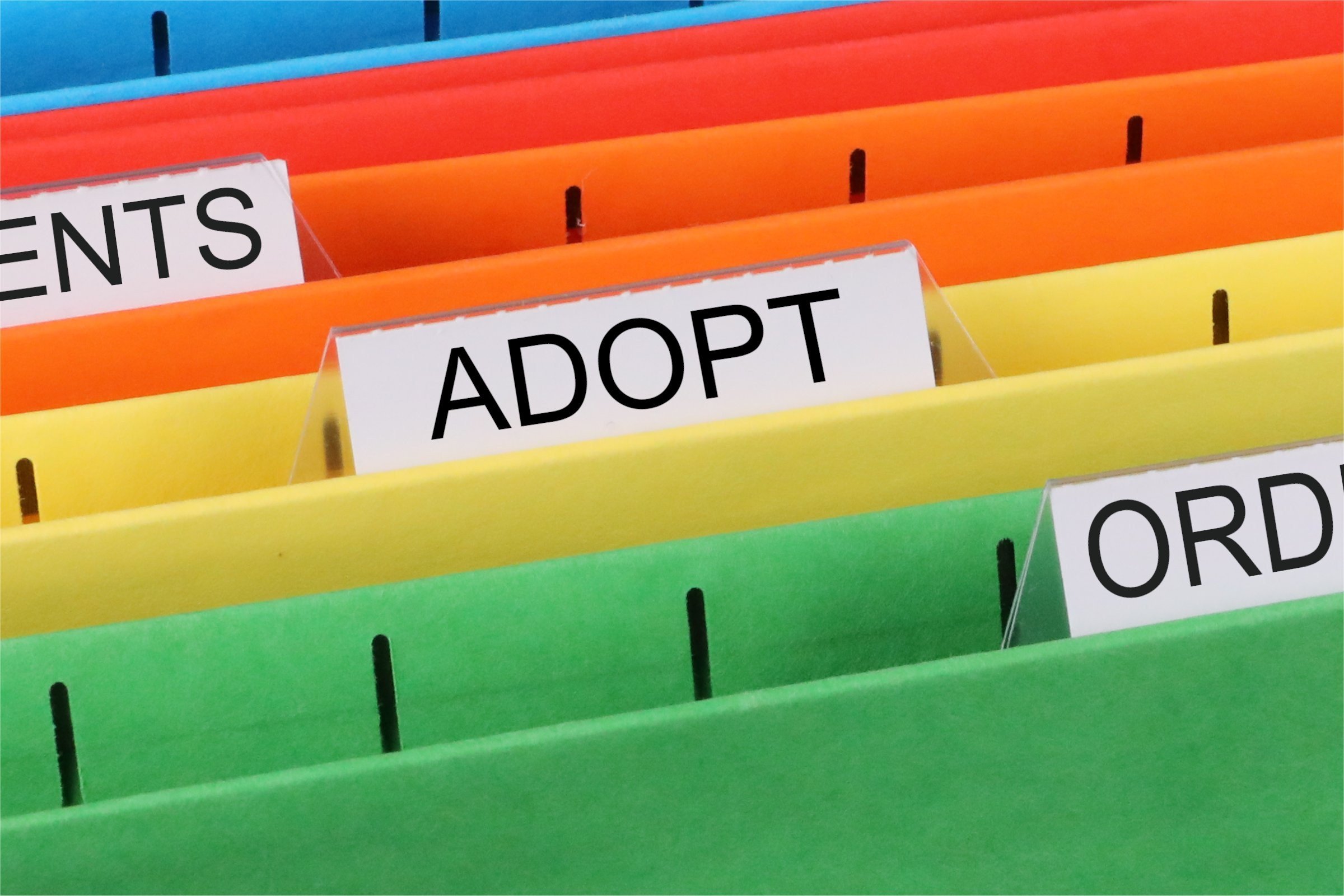 adopt