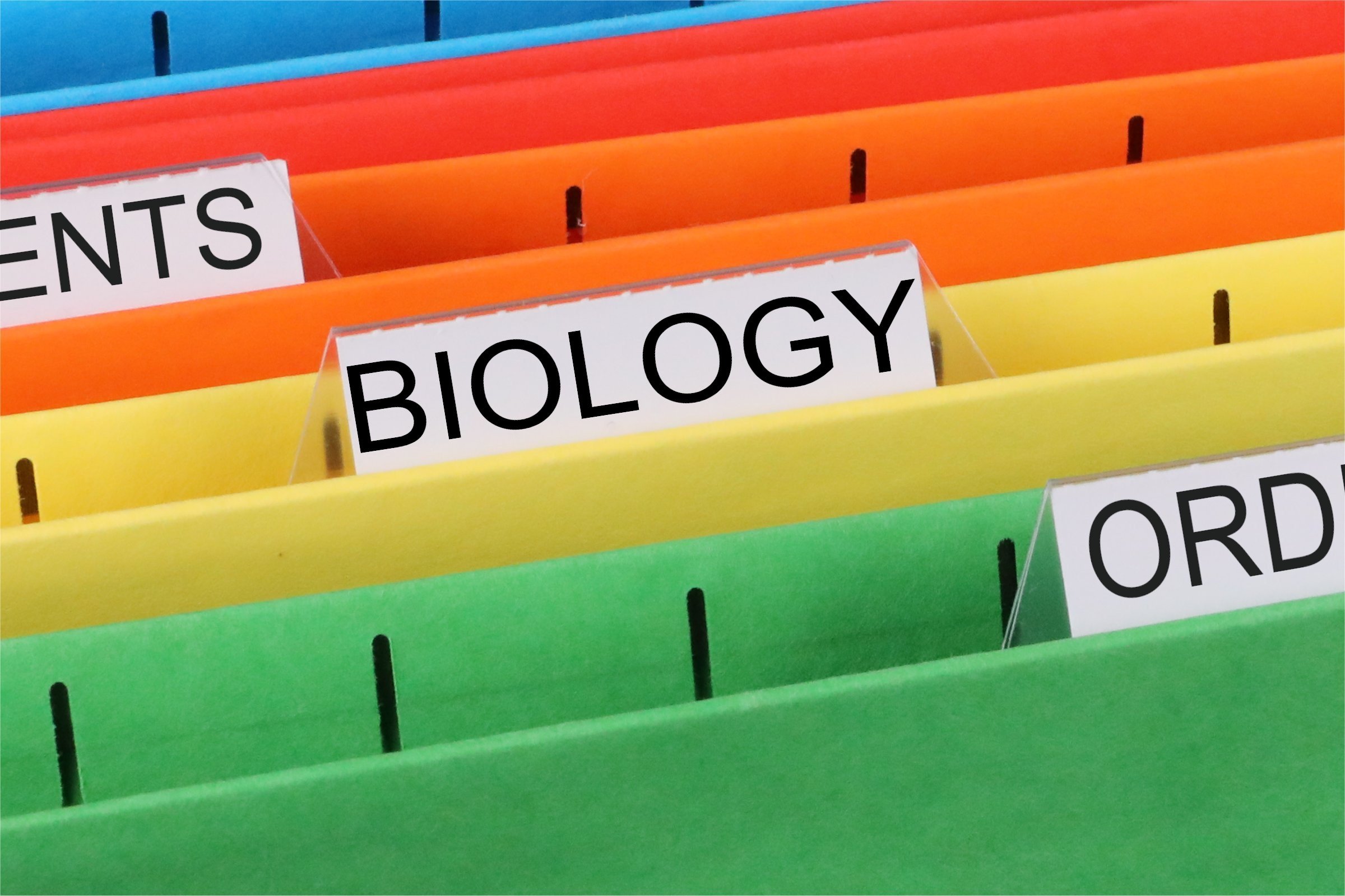 biology