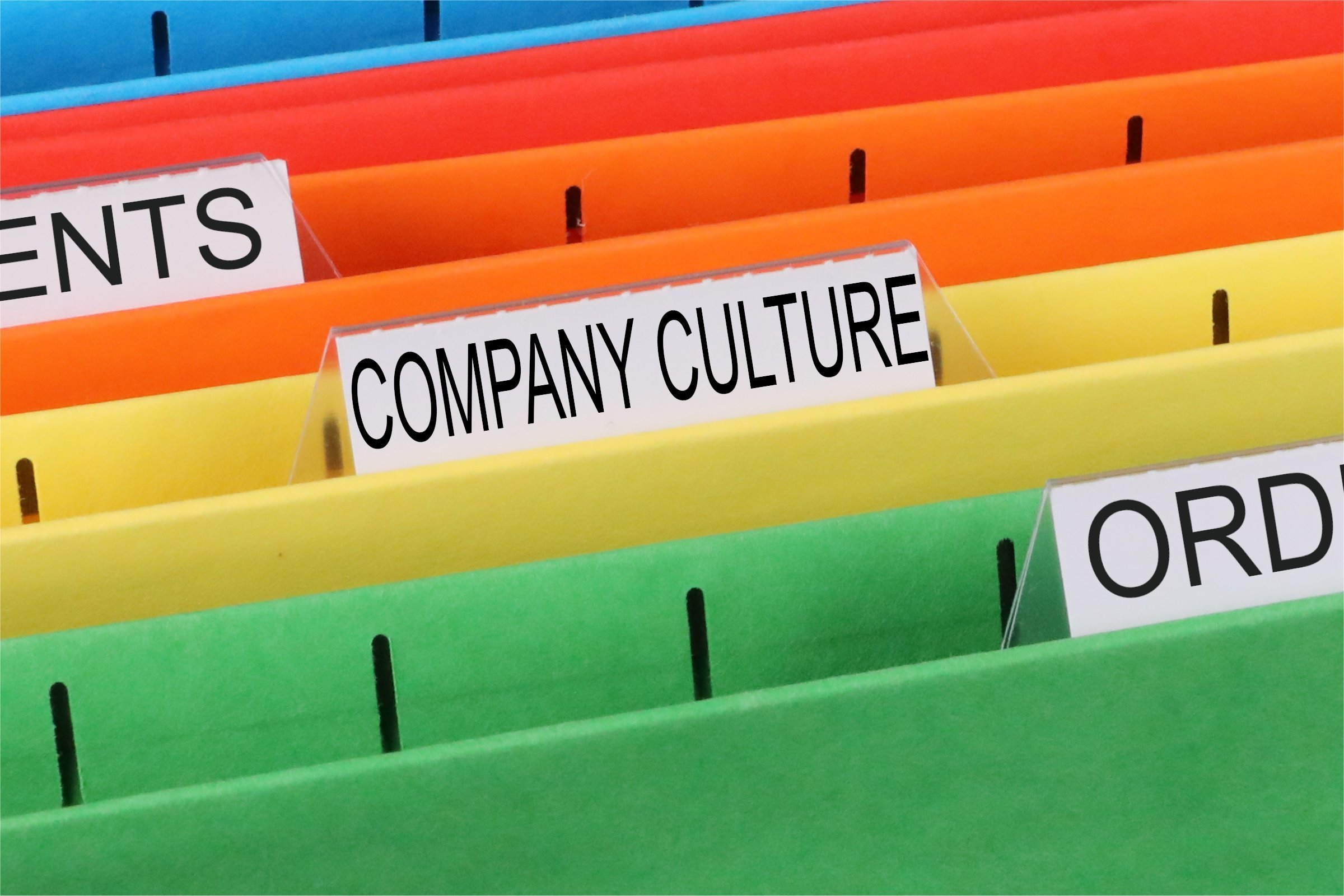 company culture