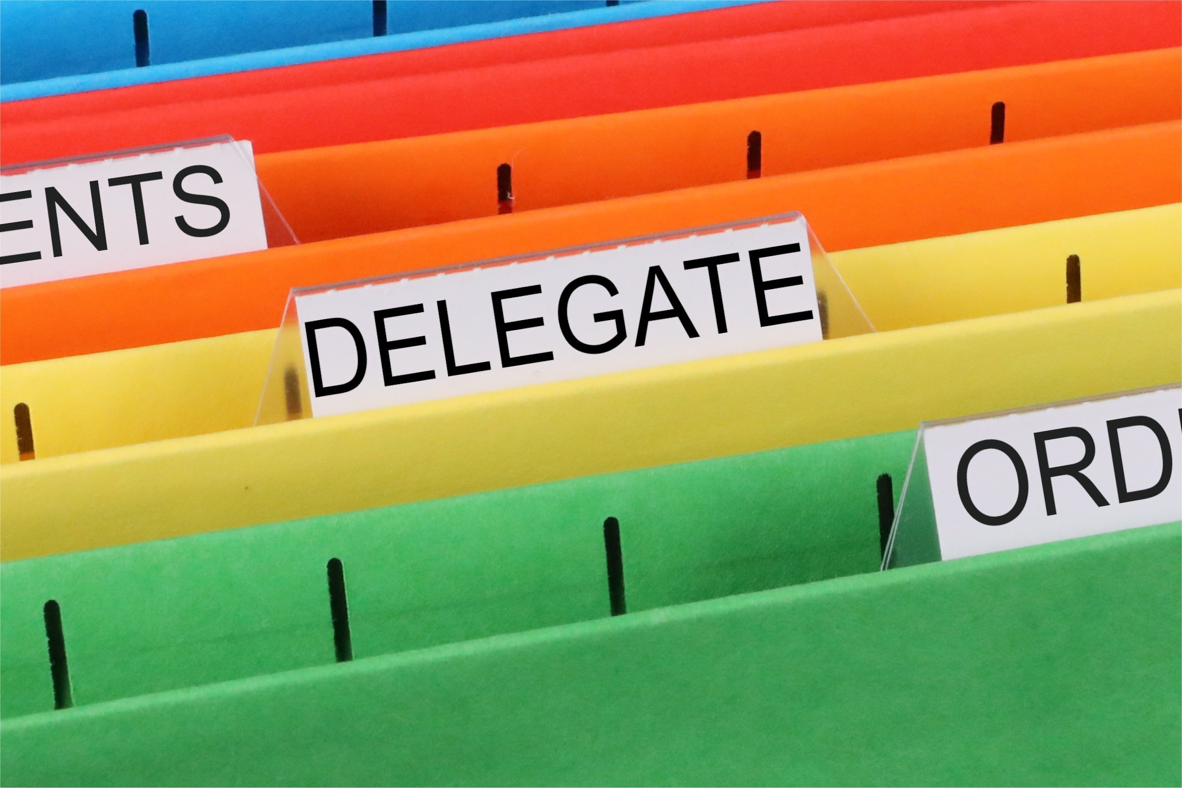delegate