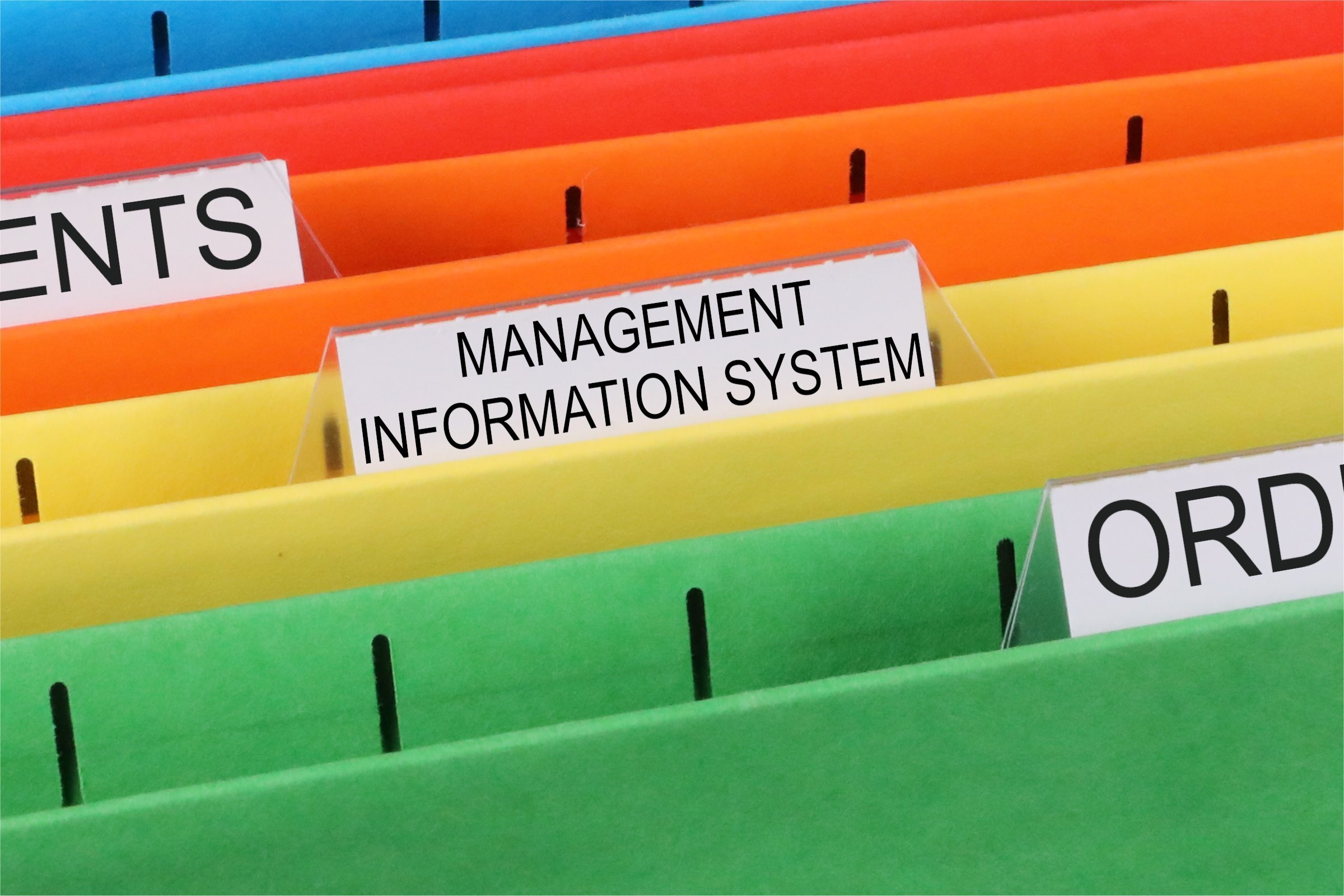 management information system