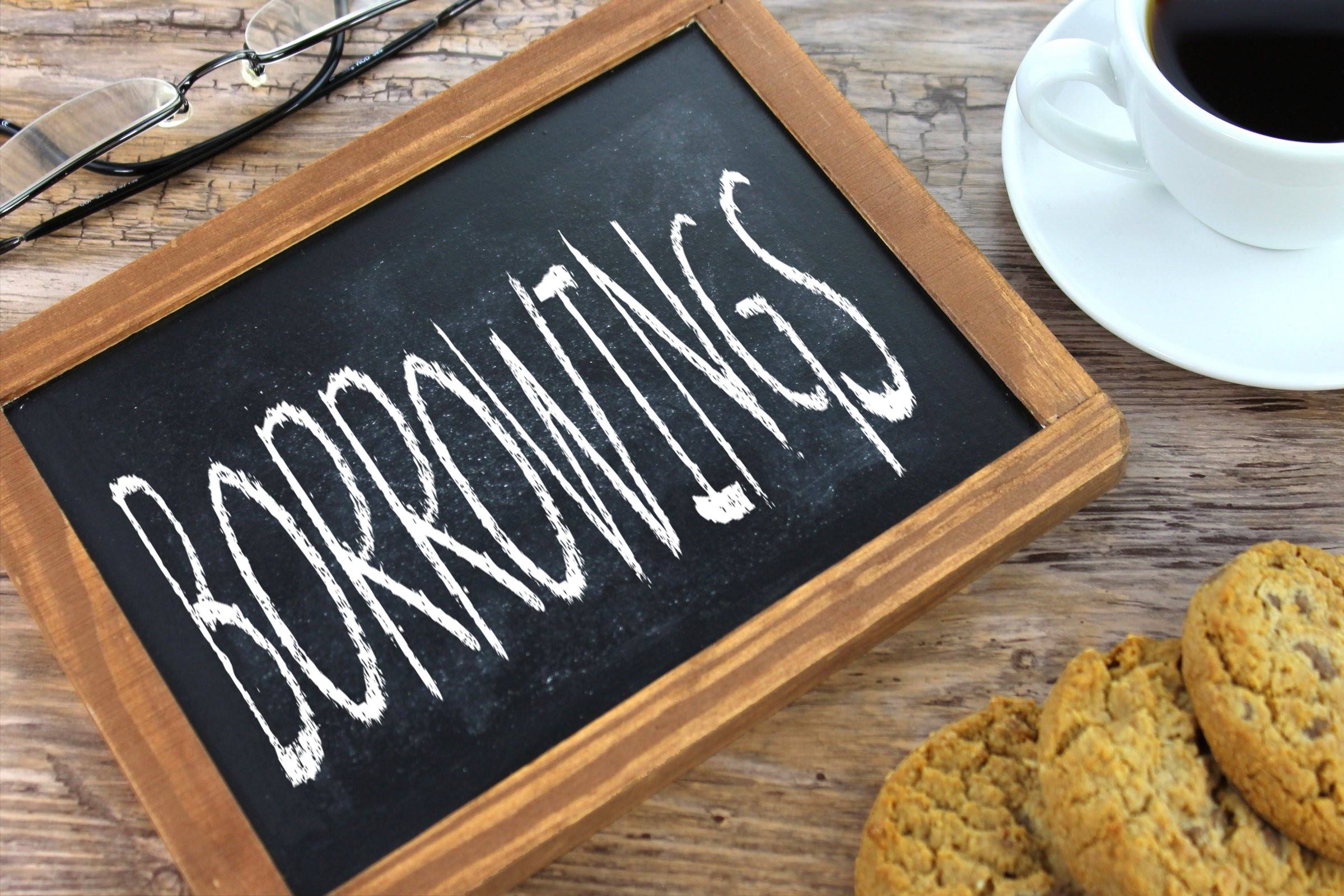 borrowings
