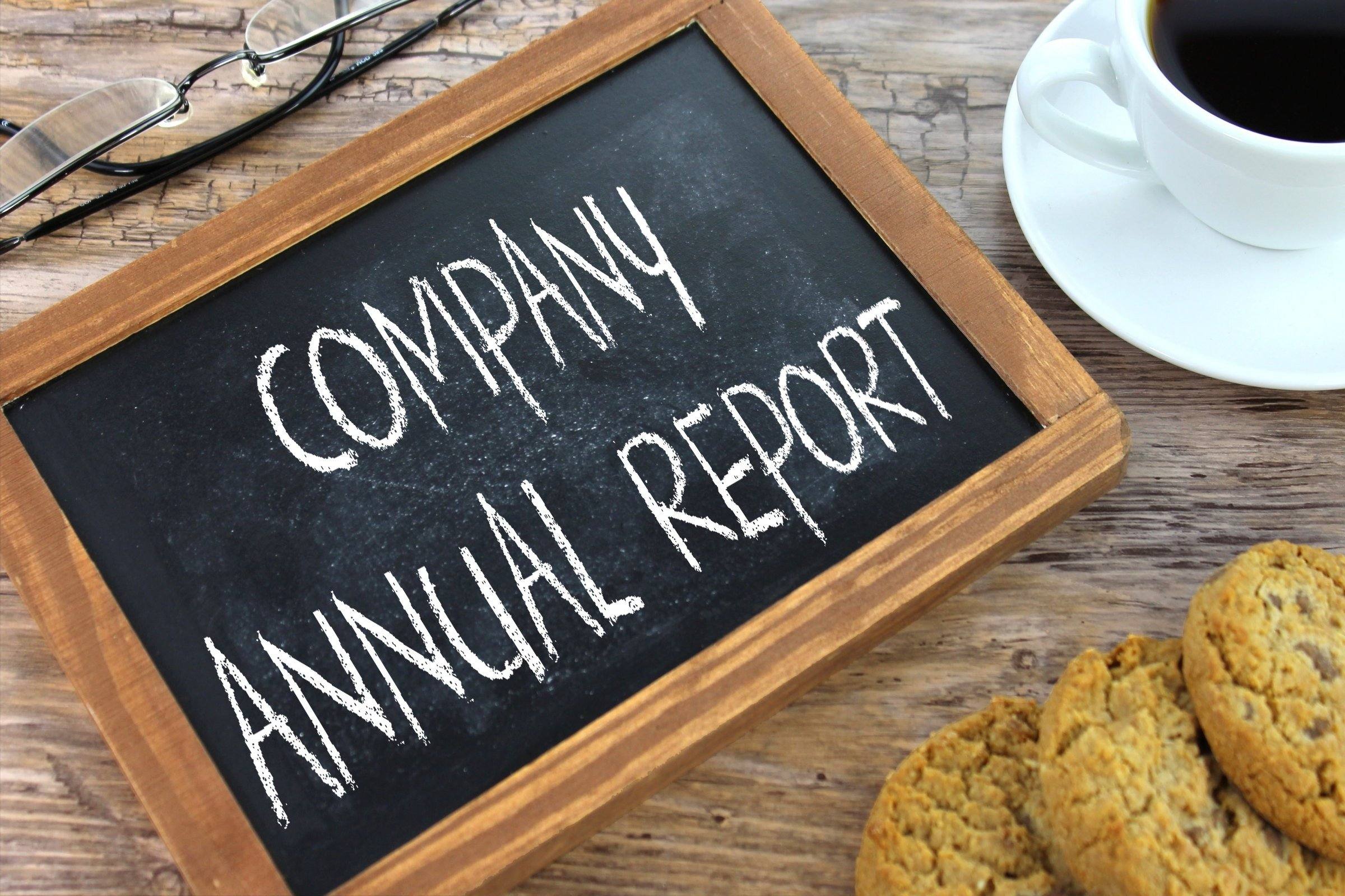 company annual report