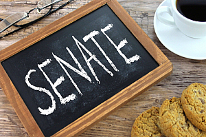 senate