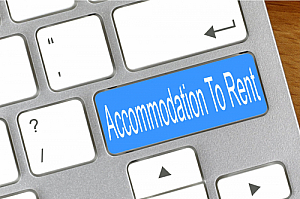 accommodation to rent