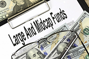 large and midcap funds
