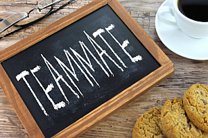 teammate