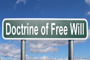 doctrine of free will