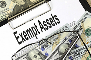 exempt assets