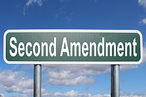 second amendment