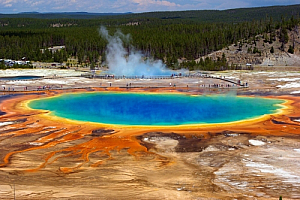 yellowstone national park grand prismatic spring forest landscape