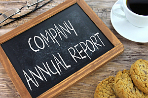 company annual report