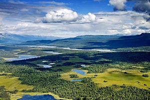 Denali national park in Alaska
