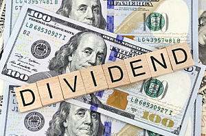 dividend