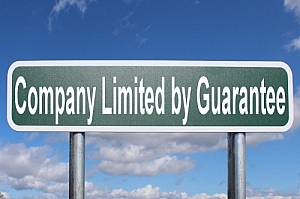 company limited by guarantee