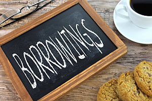 borrowings