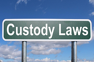 custody laws