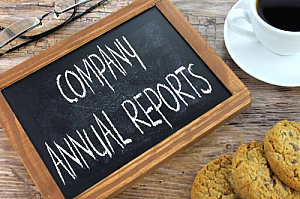 company annual reports