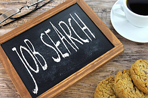 job search