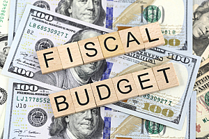 fiscal budget