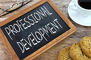 professional development