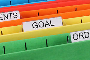 goal