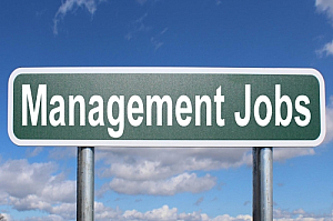 management jobs