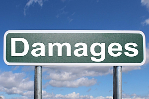 damages