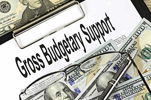 gross budgetary support
